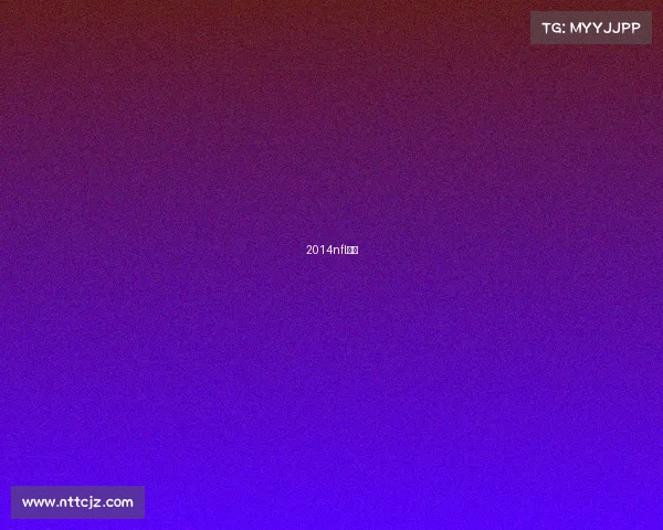 2014nfl冠军 2014nfl冠军